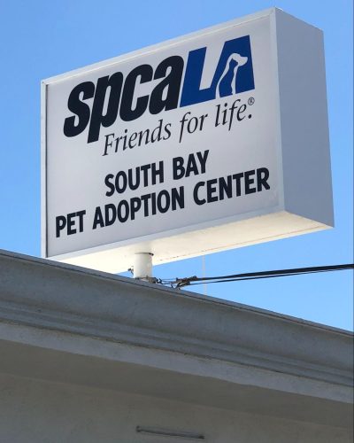 Photo showing pylon signage design for spcLA