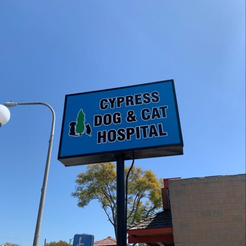 a single-pole pylon sign advertising Cypress Dog & Cat Hospital